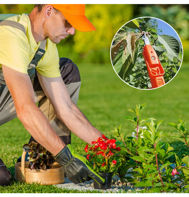 Professional Garden Pruner Picker Shears