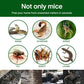 ✨LAST DAY SALE 50% OFF✨Household Mon-woven Strong Trap Sticky Mouse Blanket