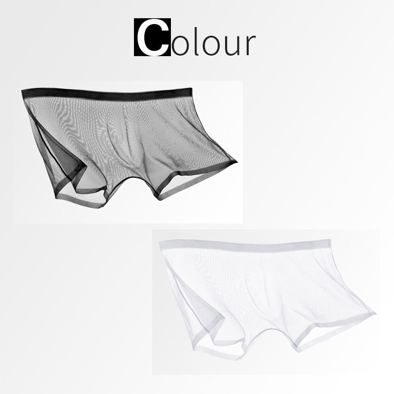 Ice Silk Sexy Mesh Full Transparent Boxer Shorts