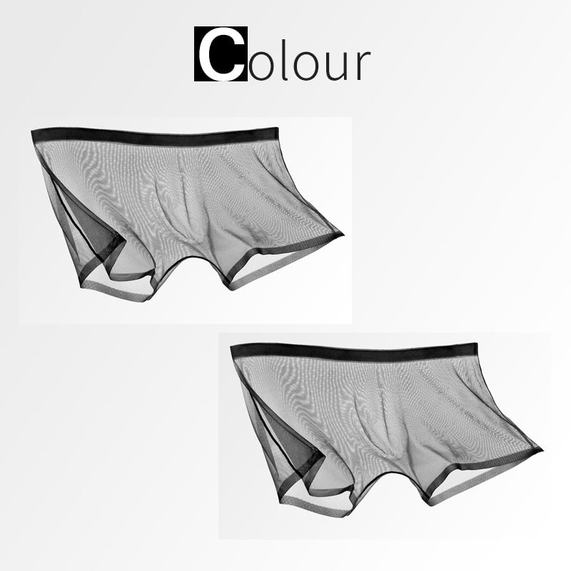 Ice Silk Sexy Mesh Full Transparent Boxer Shorts