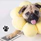 🎁🐶Zestaw do odciskania łapek zwierząt domowych z ramką na kartki🐾🐾