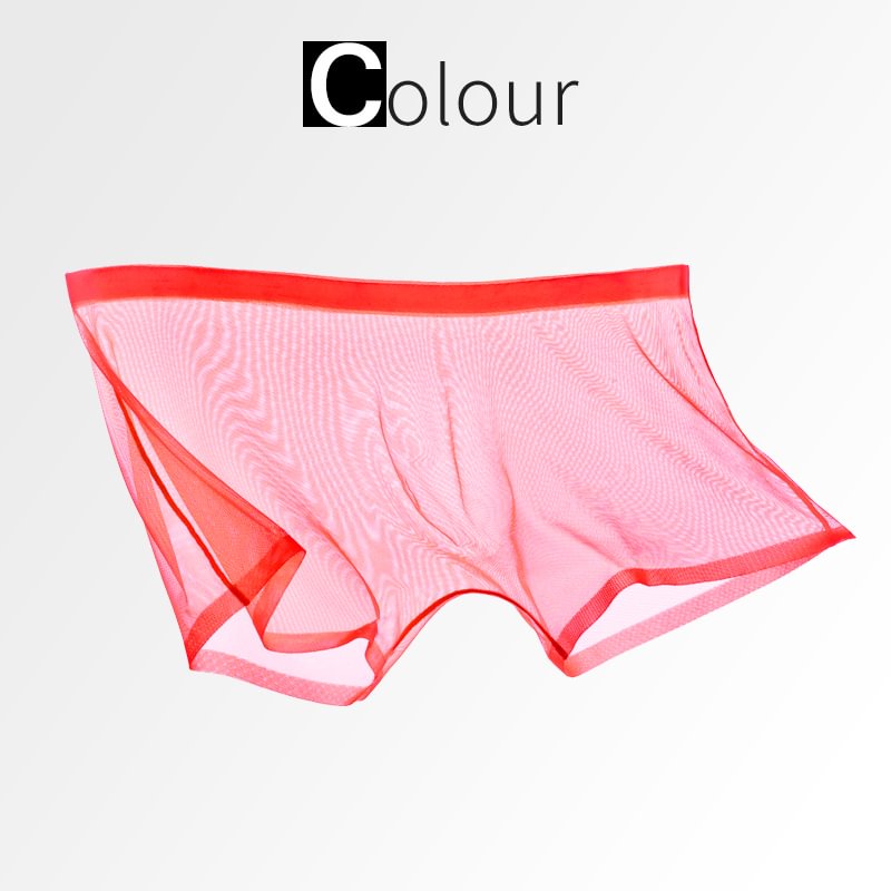 Ice Silk Sexy Mesh Full Transparent Boxer Shorts