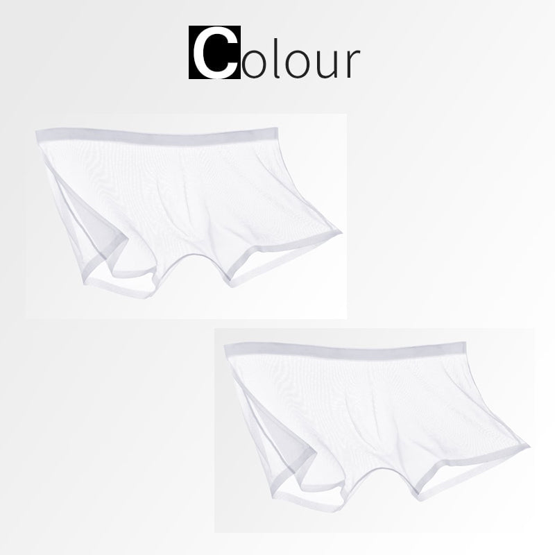 Ice Silk Sexy Mesh Full Transparent Boxer Shorts