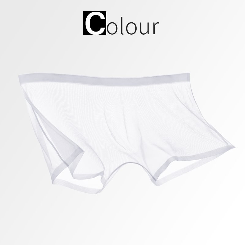 Ice Silk Sexy Mesh Full Transparent Boxer Shorts