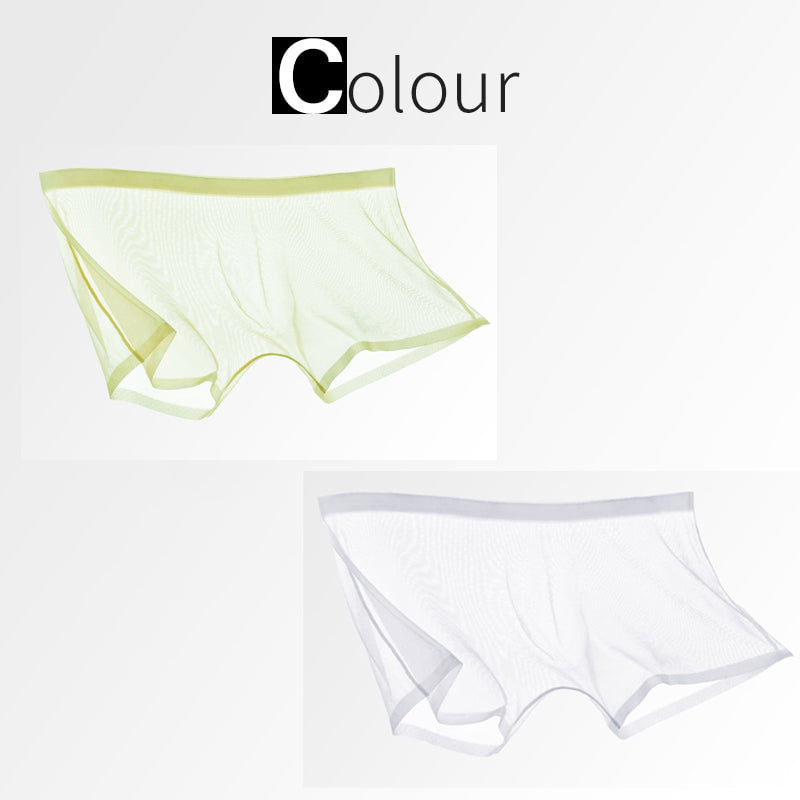 Ice Silk Sexy Mesh Full Transparent Boxer Shorts