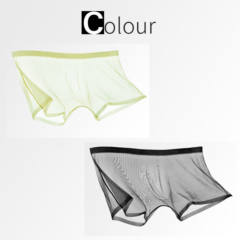 Ice Silk Sexy Mesh Full Transparent Boxer Shorts