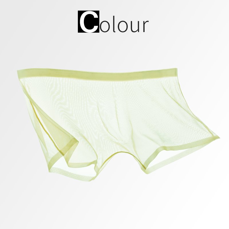 Ice Silk Sexy Mesh Full Transparent Boxer Shorts