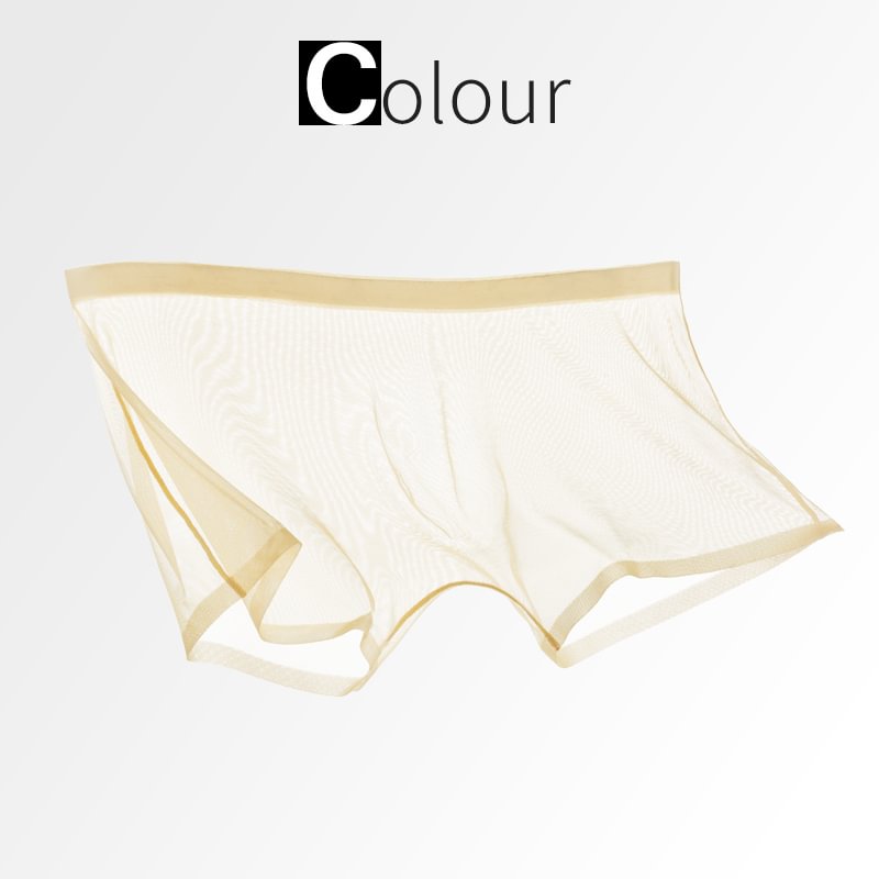 Ice Silk Sexy Mesh Full Transparent Boxer Shorts