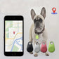 Alarma de localización bidireccional para mascotas