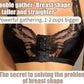 🎁Buy 2 Save 10% OFF👙French Lace Front Button Bra