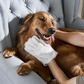 🔥🐶🐱 Guantes Desodorizantes para Mascotas — Limpieza Fácil sin Agua