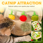 🐱💥Ficelle de jeu en forme de fruit pour fatiguer votre chat naturellement