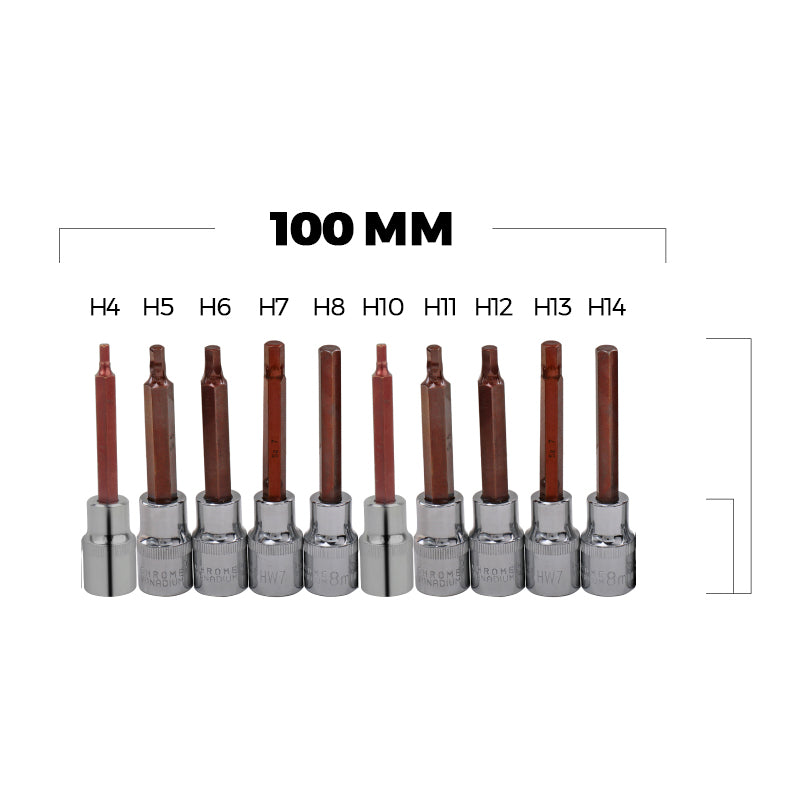 Hexagon twelve point screwdriver socket head