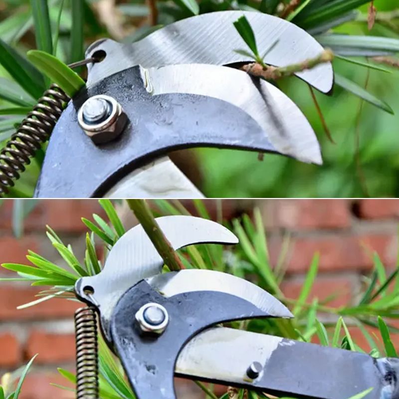 Pousbo® High-Altitude Pruning Shears with Pulley