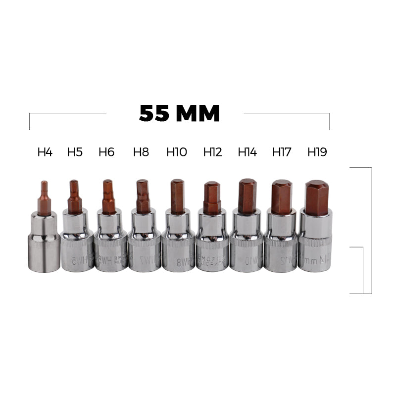 Hexagon twelve point screwdriver socket head