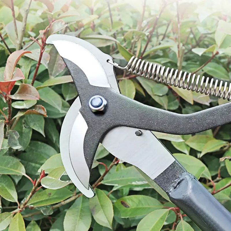 Pousbo® High-Altitude Pruning Shears with Pulley