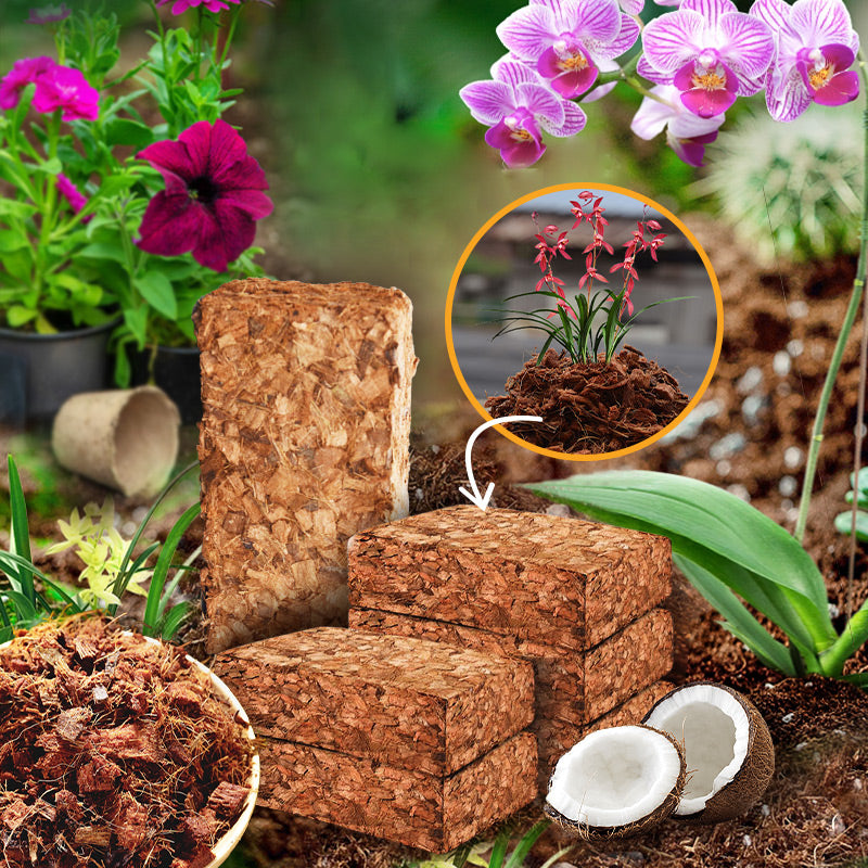 Orchid specific small coconut shell brick nutrient soil