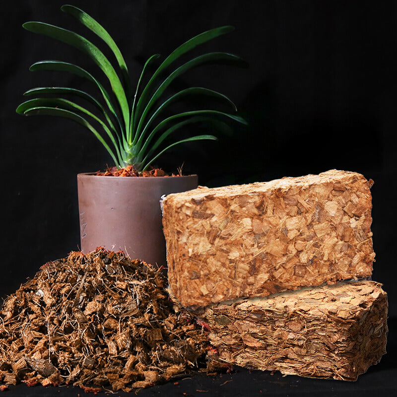 Orchid specific small coconut shell brick nutrient soil