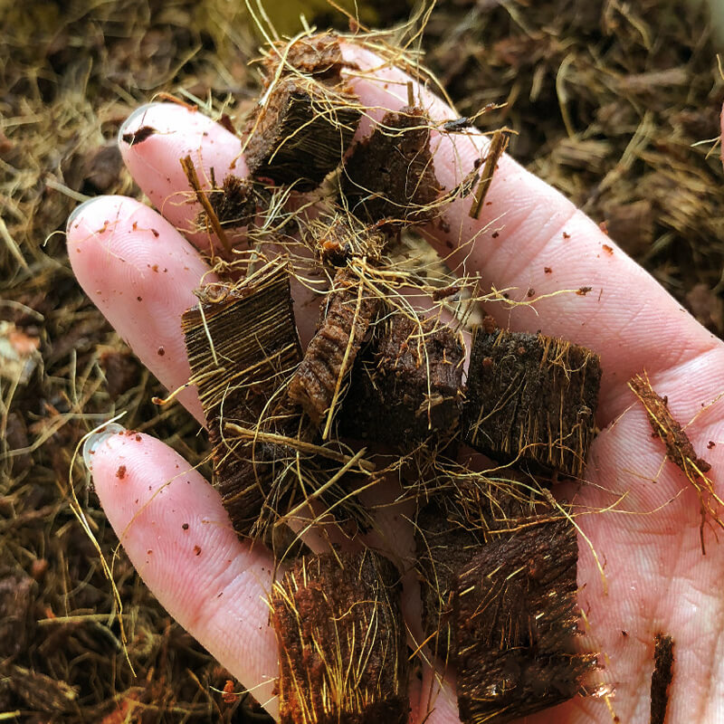 Orchid specific small coconut shell brick nutrient soil